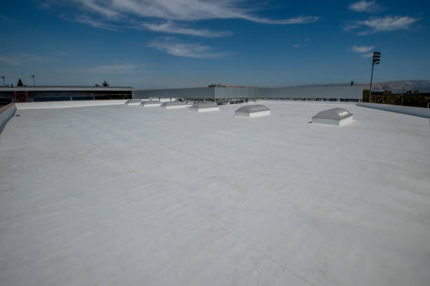 Best Flat Roofing  in Tuscoosa, AL